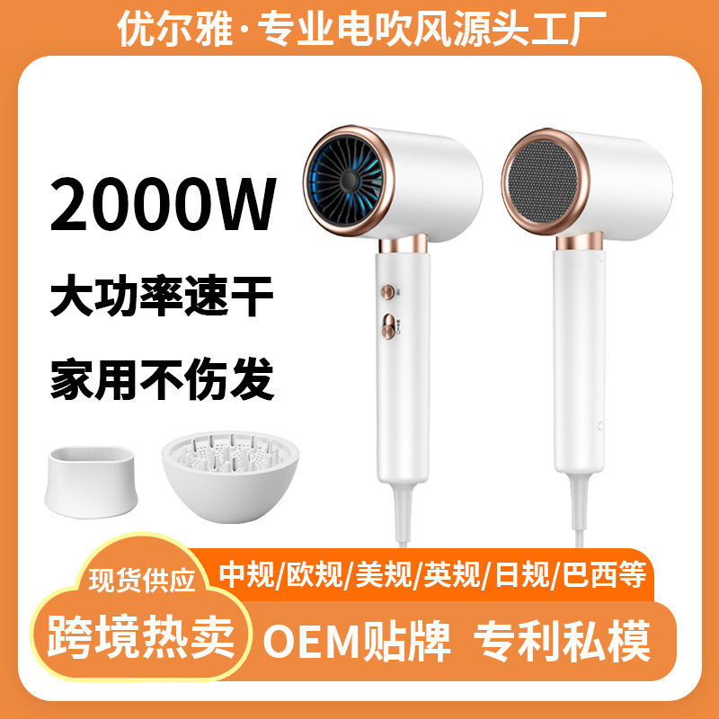 Cross-Border High-Power Hair Dryer for Home Use, Negative Ion Hair Salon Hair Dryer, High Wind Power Hair Dryer, Constant Temperature Hair Dryer, Youluya