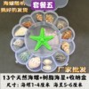 Natural Shell Conch Popular Science Material Specimen Snail Storage Set Gift Box Kindergarten Marine Life Collection