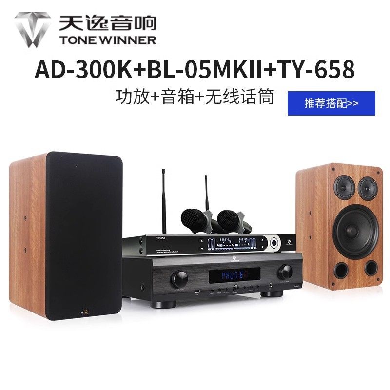 Winner/Tianyi AD-300K Multifunctional Bluetooth Digital Karaoke Amplifier Professional Home Karaoke