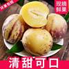 Fresh Seasonal Whole Box Wholesale of Yellow-Fleshed Large Fruits from Minqin, Gansu, Including Ginseng Fruit, with Free Shipping and Low Sugar Content