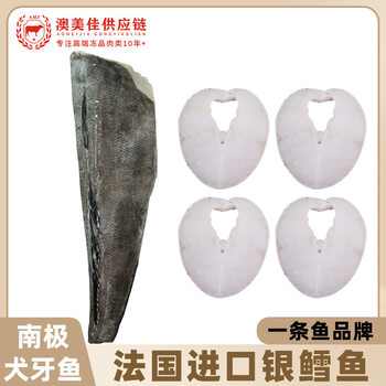 French Cod Sapmer Fresh Frozen Deep Sea Antarctic Toothfish Whole Cut into Pieces Kidsren's Baby Food Supplement