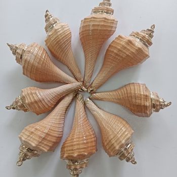 Hundreds of Electroplated Gold-Edged Natural Shells, Conch and Starfish Edge-Plated Pendants, DIY Bracelets, Necklaces, Jewelry Accessories