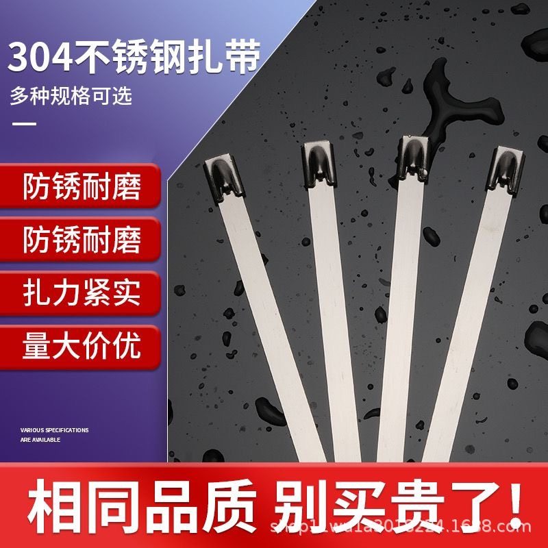 304 Self-Locking Stainless Steel Cable Ties 4.6*200/300 Buckle Straps for Power Bundling and Cable Ties for Marine Use