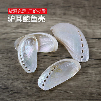 Natural Conch Abalone Shell Polished New Zealand Large Shell Donkey Ear Abalone Photo Props Fish Tank Landscaping Decoration Wholesale