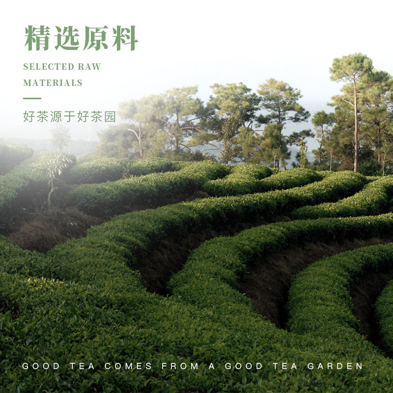 Uji Daily Matcha Powder 14 Original Flavor Direct Drink Japanese Style Drink Strips No Additives Pure Matcha Powder Portable Packaging