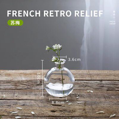 跨境热销复古玻璃花瓶插画高级感香薰瓶 透明ins风摆件小花瓶套装