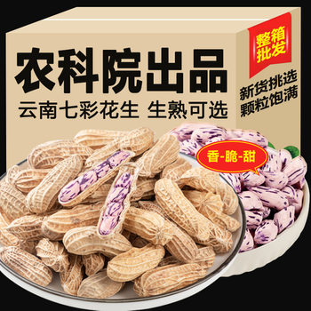 Longyan Wet Roasted Colorful Peanuts in Shells Cooked Fresh Fujian Longyan Specialty Gift Salty Dry Snacks