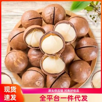 Macadamia Nuts, Casual Snacks, Roasted Nuts, Nutritious Snacks, Crispy, Delicious and Nutritious Office Snacks