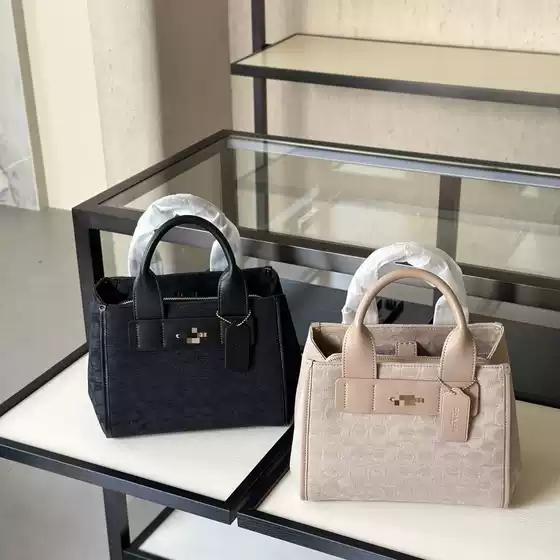 Foreign Trade 2025C Spring Mini Andrea Handbag Princess Diana Bag Single Shoulder Crossbody Versatile Exquisite Women's Bag