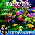 seller product image