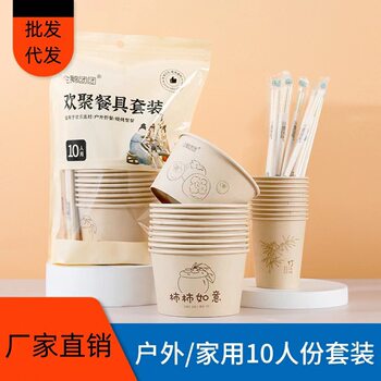 New Disposable Tableware Set Family Party Outdoor Picnic Paper Bowl Cup Chopsticks Set Camping BBQ Tableware Wholesale