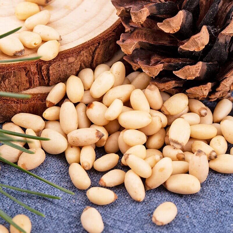 2024 New Stock of Roasted Pine Nuts from Northeast Official Flagship Store, Pine Nut Kernels, Nuts for Pregnant Women, Wholesale Brazil