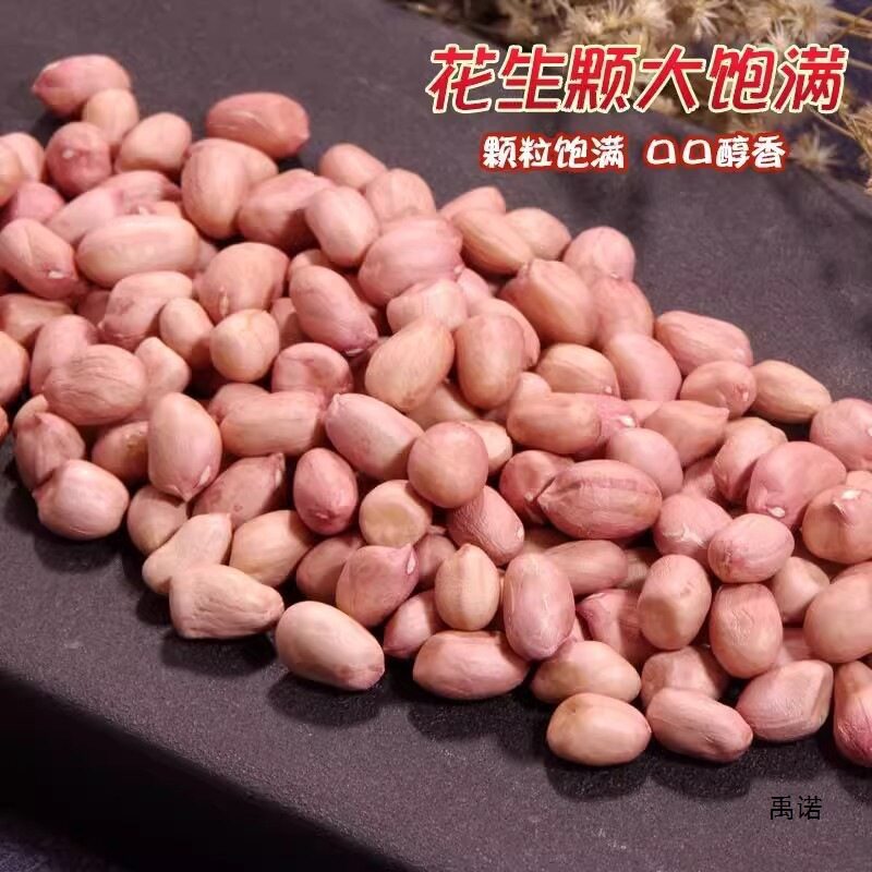 Seasonal Fresh Peanuts on Sale, Freshly Shelled New Peanuts, New Stock with Skin, Fresh Large Kernels, Oil Extraction, White Packaging, Free Shipping