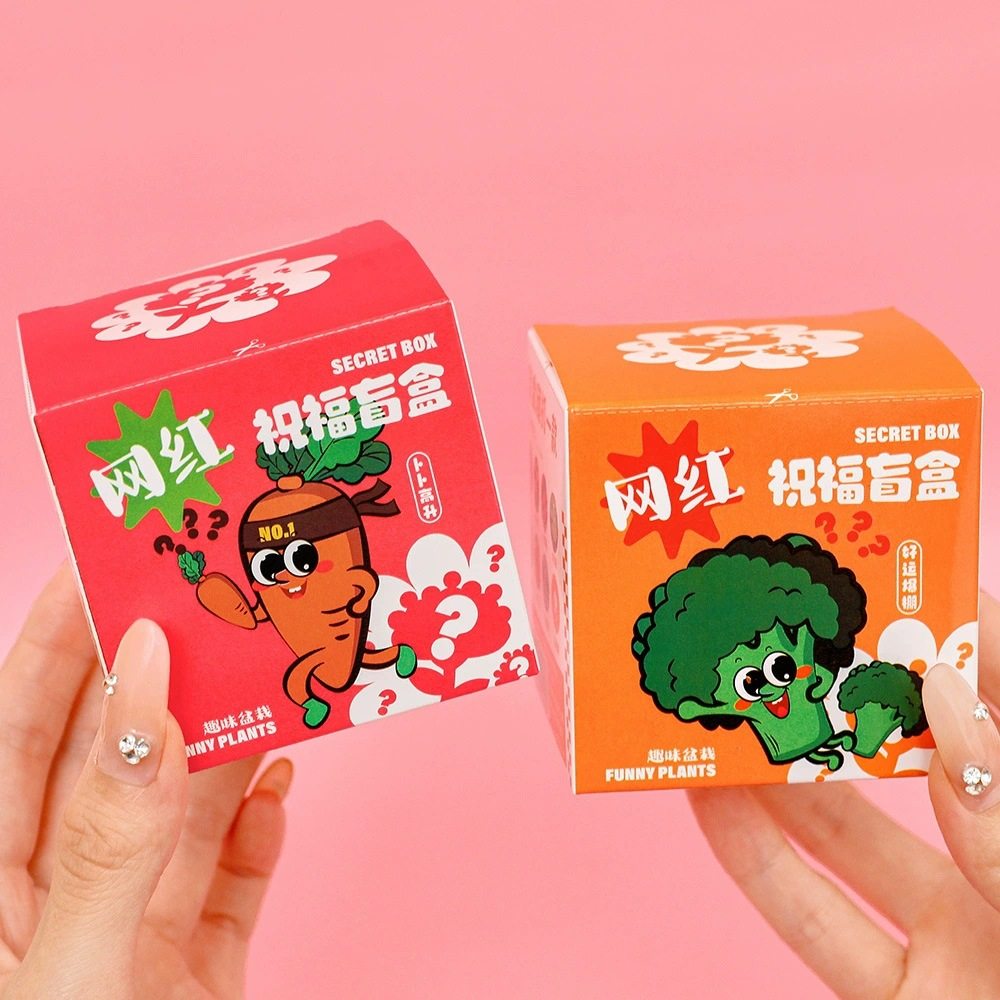 Creative Planting Blind Box Small Potted Plants Children's Class Reward Gifts Student Prizes Kindergarten Observation Plants Wholesale