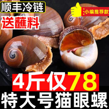 Cat's Eye Snail, Fresh and Large Fragrant Snail, Wild Field Jade Snail, Conch, Frozen Flower Snail, Shellfish, Seafood, Sf Express