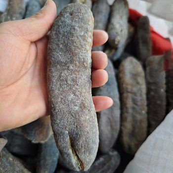 5-7 Heads of Micro-Residual Bald Ginseng and Sea Cucumber Dry Goods 250g Ming Bald Ginseng Wholesale Non-Ready-To-Eat Sea Cucumber and Sea Life Hotel Ingredients