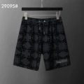 29095 black