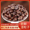 Zs2024 Yunnan Fresh Pine Nuts Original Flavor Alpine Wild Black Pine Nuts Fresh Pine Nuts Bulk Nuts Zero