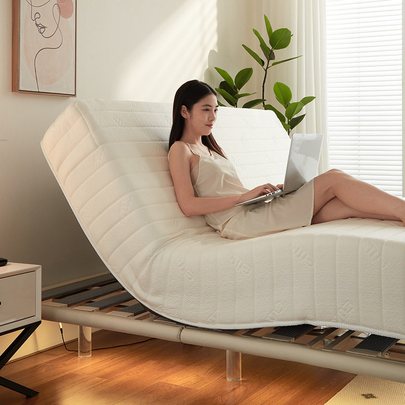 Smart Electric Mattress for Five-Star Hotels, Massage, Adjustable Height, Suitable for Nursing Homes and Elderly Care Centers, Remote-Controlled Simmons