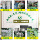 Прямые продажи с фабрики свинцовой припойной проволоки Sn63Pb37 с канифольным сердечником одноразовая припойная проволока 0.8/1 для промышленного обслуживания на заказ mini 3