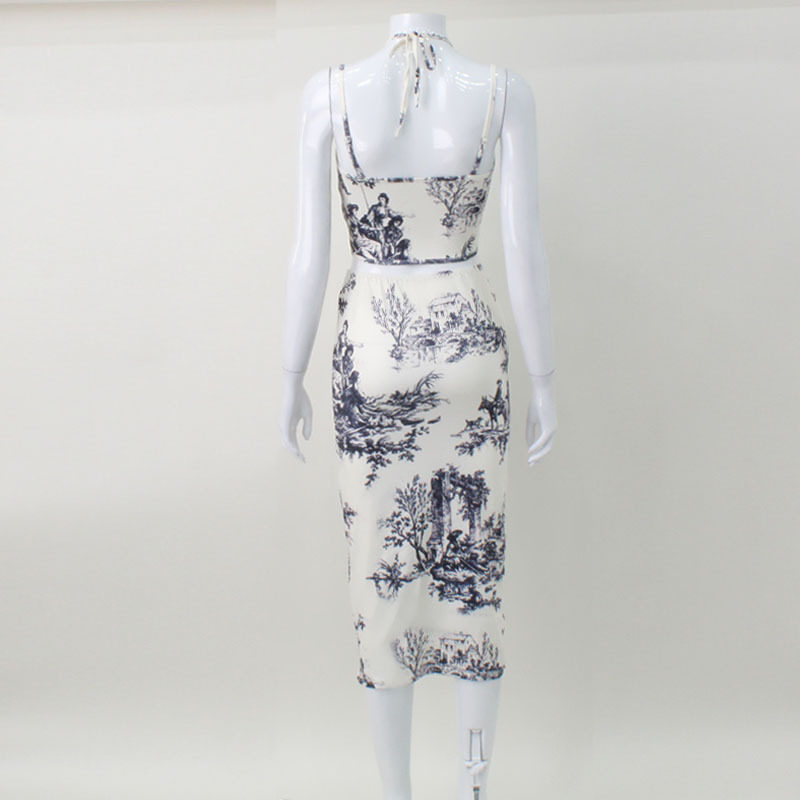 Womens Vintage Floral Print Two Piece Set Halter Neck Top Midi Skirt Stylish Sexy Outfit for Summer Wholesale