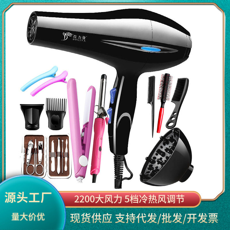 Deliya Hair Dryer Wholesale High-Power Household Appliances Hair Salon Hot and Cold Hair Dryer Foreign Trade Small Home Appliance Hair Dryer