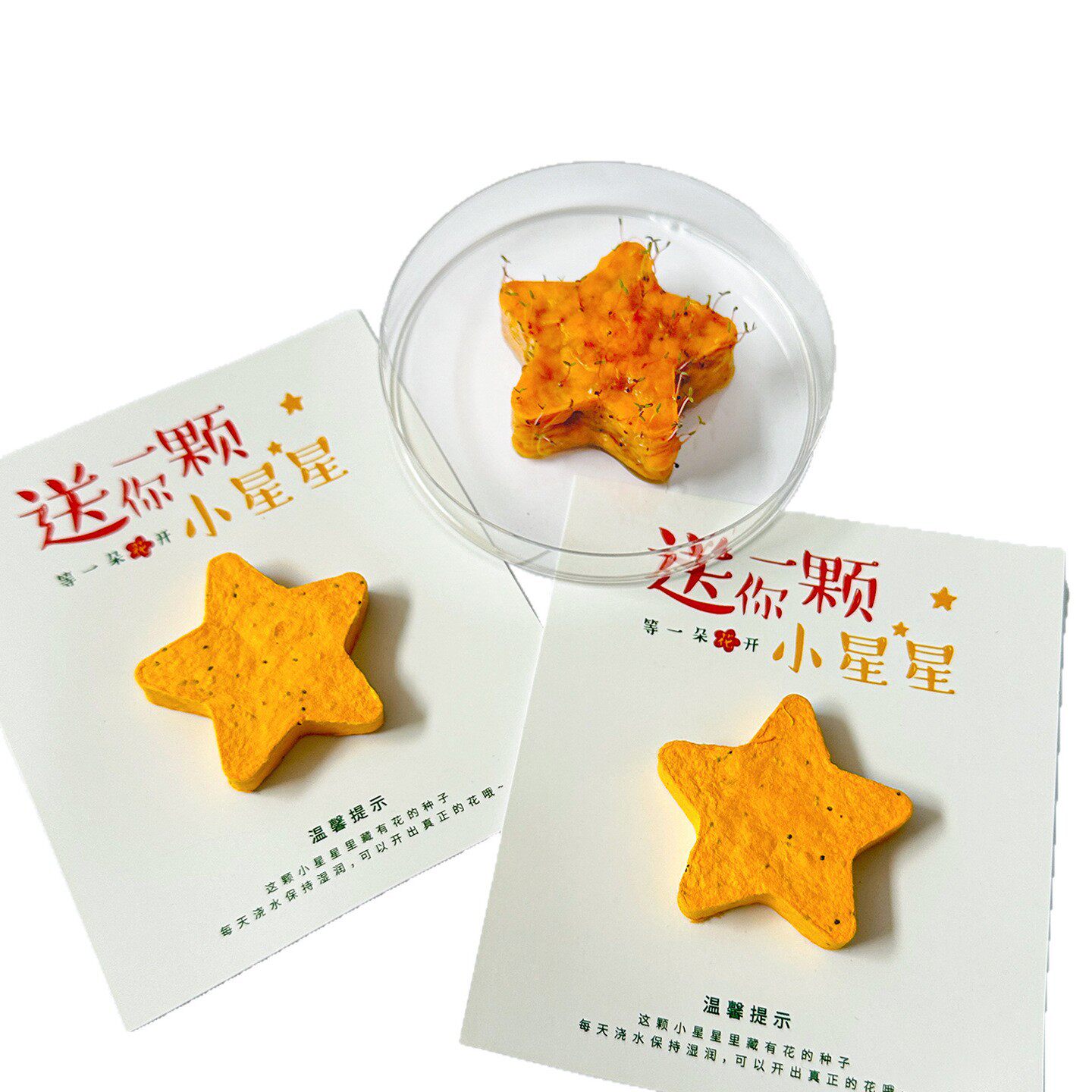 立体种子纸现货可定制种植种子发芽纸卡片节日商务活动伴手小礼物| MoveOn | Connecting Cross-Border Trade