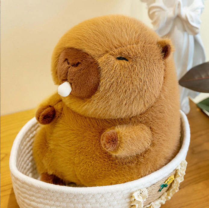 毛绒玩具批发八寸抓娃娃流量款公仔结婚抛洒互动玩偶婚礼娃娃批发