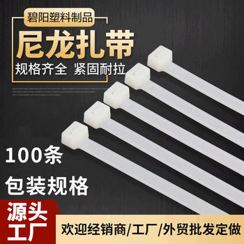 Self-Locking Nylon Cable Ties Manufacturer Wholesale 100 Black and White 3*4*5*8*10*12 Plastic Cable Ties