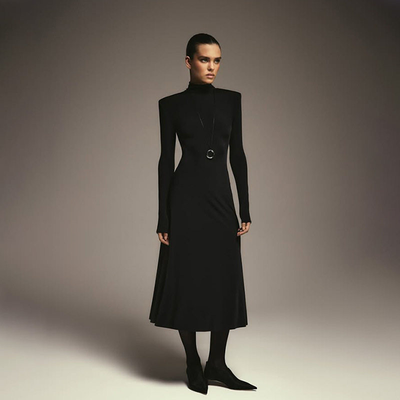 High Neck Long Sleeve A Line Dress Waist Defining Solid Color Elegant Design Autumn Winter Fashion Wholesale
