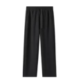 Black straight-leg pants (silver label)