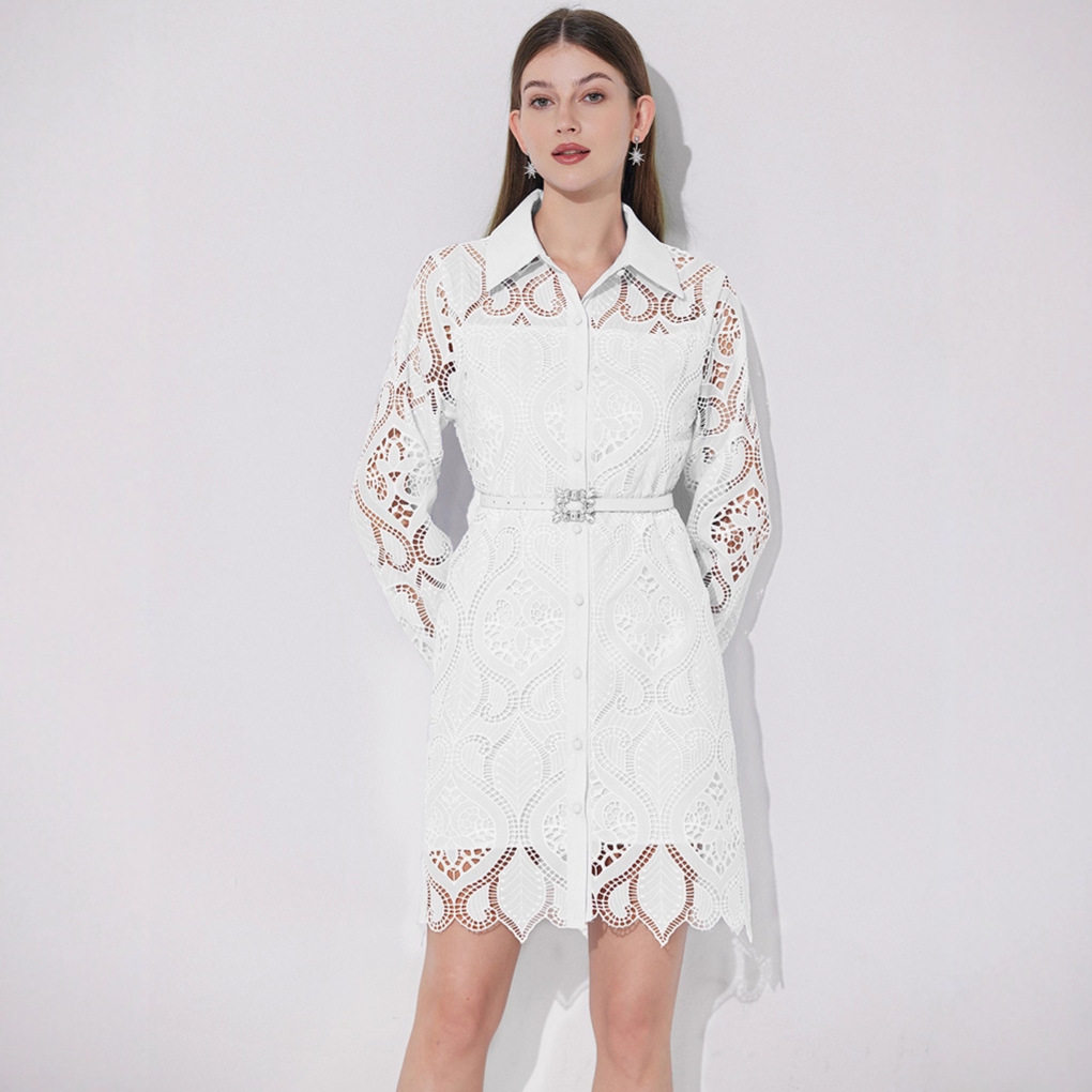 French Style Elegant Embroidered Lace A Line Dress Hollow Out Waist Defined Single Breasted Perfect for Spring Summer