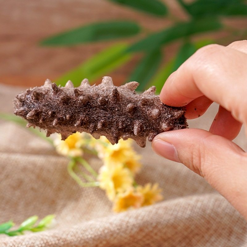 Sc Factory Wholesale In-Stock Fd Freeze-Dried Sea Cucumber Cold-Water 20X Fast-Growing Sea Cucumber Dried Seafood Gift Box Sea Cucumber