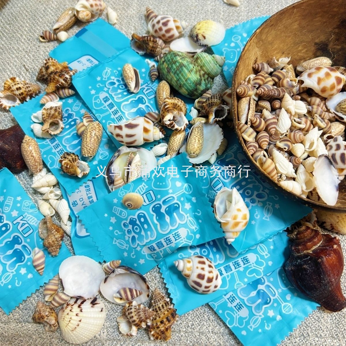 Kindergarten Small Prize Gift Conch Blind Bag Kidsren's Reward Natural Sea Shell DIY Decoration Pure Natural