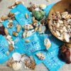 Kindergarten Small Prize Gift Conch Blind Bag Kidsren's Reward Natural Sea Shell DIY Decoration Pure Natural