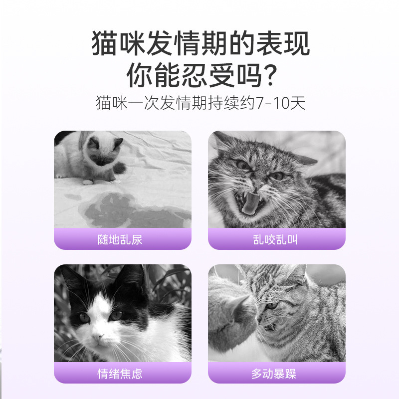 神经猫费洛蒙禁情喷雾50ml发禁情喷剂禁情欲抑制母猫发闹免绝育 - 图0