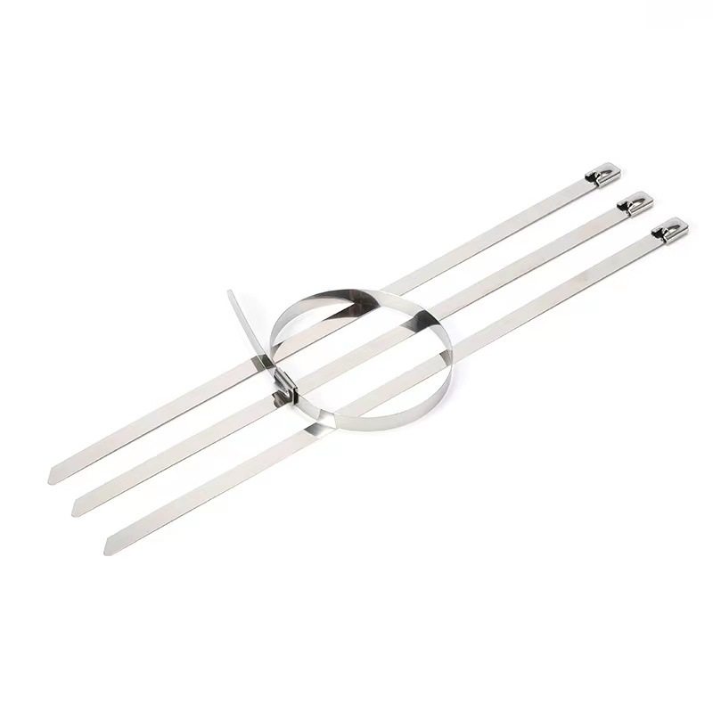 304 Self-Locking Stainless Steel Cable Ties 4.6*200/300 Buckle Straps for Power Bundling and Cable Ties for Marine Use