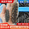 Dried Sea Cucumber Origin Dalian Bottom-Sown Sea Cucumber National Standard Grade Nourishing High-Taste Fresh Sea Cucumber for the Elderly and Pregnant Women