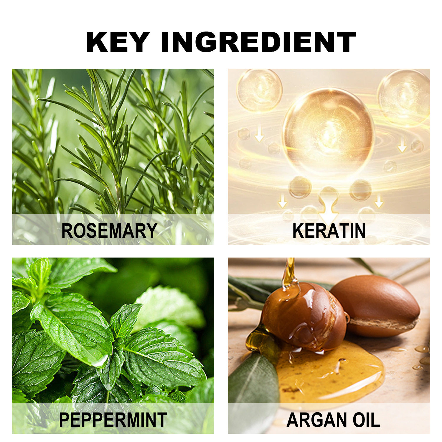 Cross-border Deep Nourishing Hair Shampoo Conditioner Soft Hair Fragrance Nutrition Moisturizing Shampoo