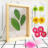 Wooden Photo Frame, Hollow Photo Frame, Insect Plant Specimen Photo Frame, Stereo Photo Frame, Creative Handmade DIY Display Frame Painting