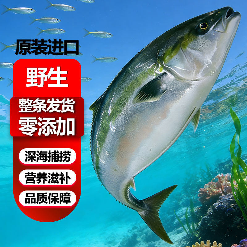 Green Goby Fish Oil Goby Wholesale Source Factory Bomb Fish Tuna Wholesale Frozen Seafood Aquatic Products Big-Eyed Tuna