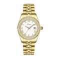 Gold and White Steel Band