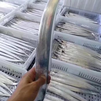 Wild Hairtail Factory Wholesale in Hong Kong 400G/Box [Love Fish Full of Cargo One Piece Dropshipping Live Broadcast]