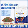 Color-added fish food General fish feed small particles small tropical fish anchovies guppy fish fighting fish lamp family Fairy Special