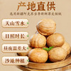 New Product from Xinjiang: Paper-Skinned Roasted Walnuts with Milk Flavor, Thin-Skinned, Hand-Peeled, Roasted Walnuts, Freshly Roasted, Children's Snacks