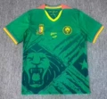 Cameroon home court