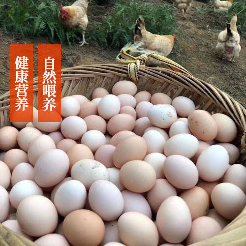 40 Pieces of Farm-Raised Eggs, Authentic Free-Range Fresh Original Ecological Eggs, One Cordyceps Nutrition, Commercial Cordyceps Group Purchase