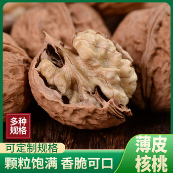 Yunnan 103 Thin-Skinned Walnuts New Arrival Paper-Skinned Dried Walnuts with Shells Nut Snacks Original Hand-Peeled Bulk Manufacturer