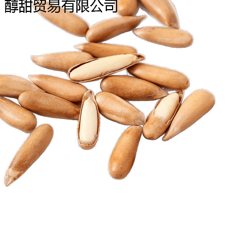 New Arrival Extra Large Particle Hand Peeled Brazilian Pine Nuts New Arrival Thin Shell Original Nut Snack Specialty 500G16G Wholesale