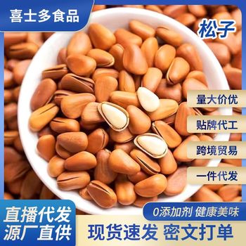 New Northeastern Pine Nuts 500g with Packaging, Original Flavor, Large Kernels, Shelled Pine Nuts, Snacks Wholesale, Dropshipping Available